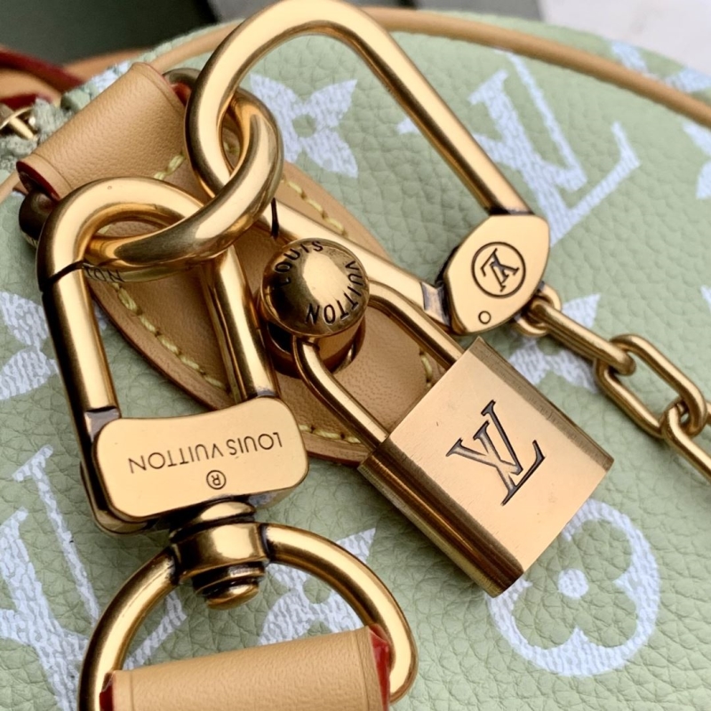 LV Speedy Bags